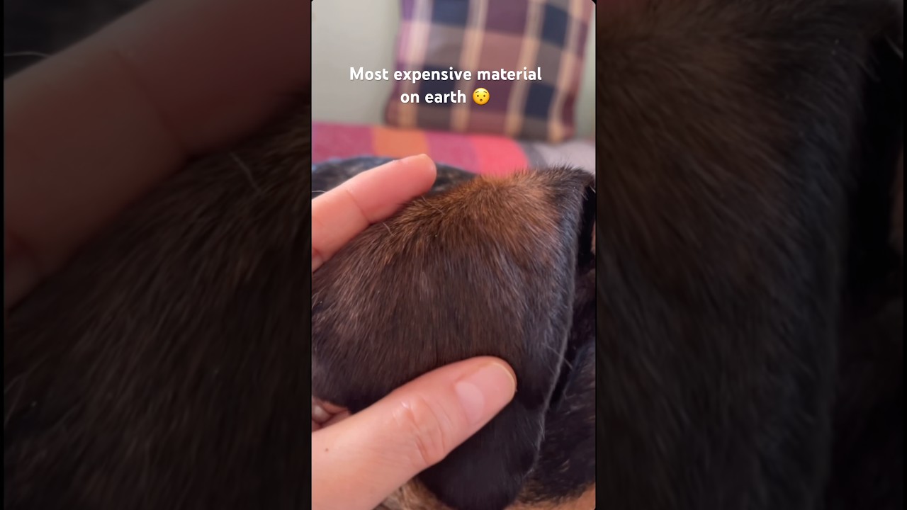 Этот персонаж очень часто просит еды 😂