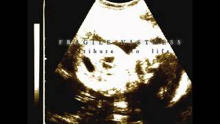 Fragile Vastness - Help