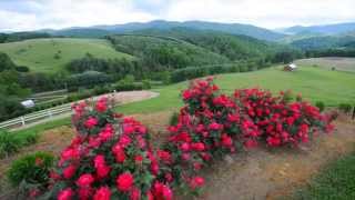 Captivating Appalachian Mountain Views in Butler, Tennessee
