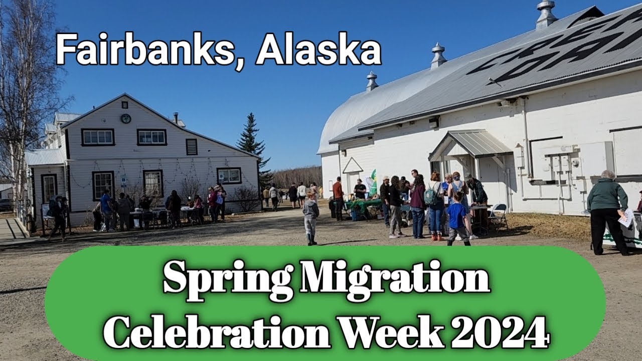 Migration Celebration Week 2024 Fairbanks, Alaska Creamer's Field