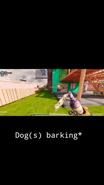 Barking Dog Seldom Bites YouTube barking-dog-seldom-bites-youtube