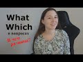 В чем разница между WHAT и WHICH в вопросительных предложениях