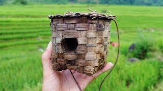 CÁCH BẪY, BẮT LƯƠN | TÂY BẮC