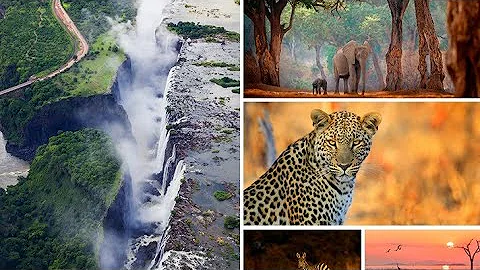 Zimbabwe: A Hidden Gem of Africa"