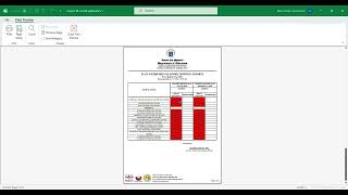 Project M tutorial # 5 - Custom Reports (MS Excel macros, Assets, PPE, HVSP, LVSP, Accountabilities)
