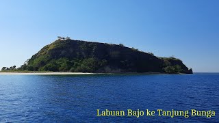 Menyusuri Pantai Utara Flores (Labuan Bajo - Tanjung Bunga)| Ada pantai kelelawar
