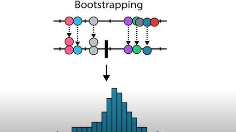 Bootstrapping vs Traditional Statistics