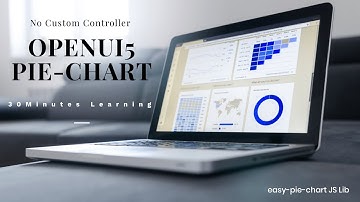 How use third party libraries to create Pie Chart in OPENUI5 | SAPUI5