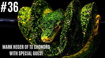 #36 MARK HEGER OF TX CHONDRO WITH SPECIAL GUEST | GREEN TREE PYTHON | CHONDRO PYTHON | URP