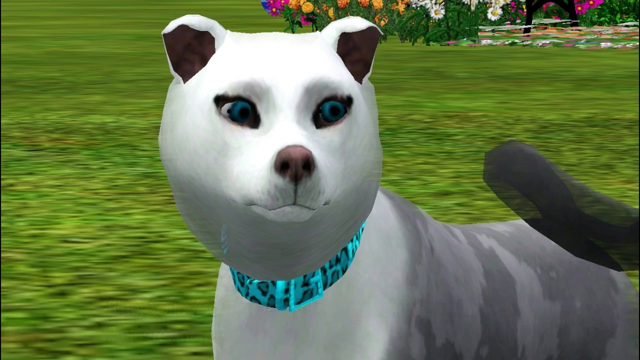 A heart of a demon Ep.1 (sims 3 dog series) YouTube