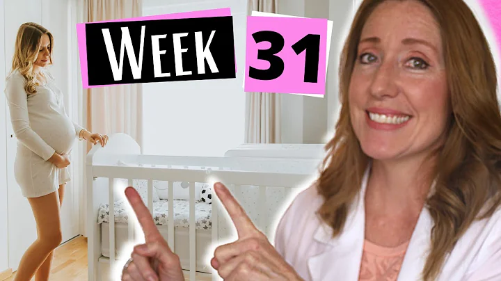 Pregnancy 31 weeks in months | Week by Week and Wh...