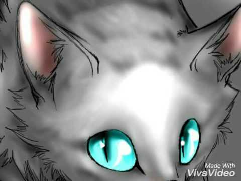 картинки коты-воители кровоцапка онлайн картинки коты-воители кровоцапка
