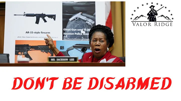 There is a Reason This Government Wants Us Disarme...