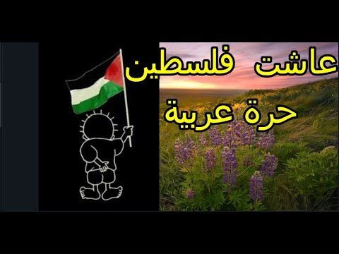 أنشودة يا راكبا في رحلة الحياة 
