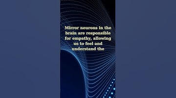 Mirror Neurons and Empathy: Understanding Emotional Connections #facts #socialpsychology #quotes