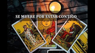 🔥💖ESTA PERSONA QUIERE SALIR CORRIENDO A BUSCARTE💖🔥TAROT ALMAS LLAMAS GEMELAS