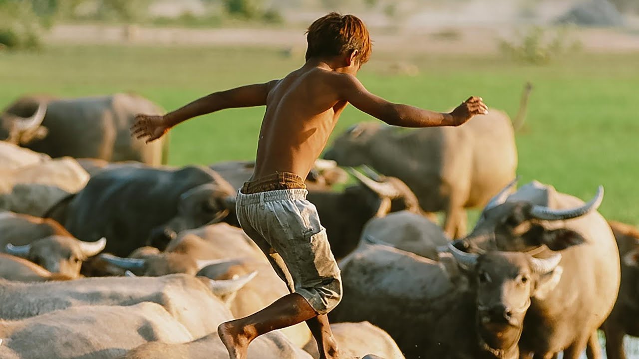 INYAMASWA 12 NAMAYERI 12 UKORESHA NTIZIBASHE KUKURYA ,SOBANUKIRWA