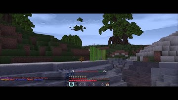 mineage hacker TheThiefLord3600