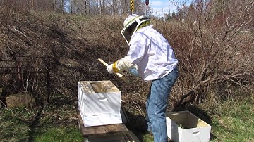 Installing My First Package Of Bees
