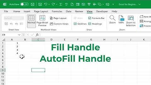 Excel for Beginners - The Complete Course
