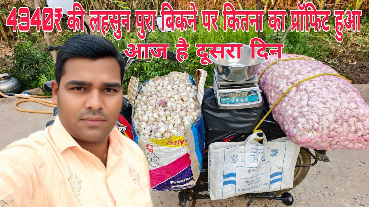 आज है दूसरा दिन 4340 रुपए की लहसुन पुरा बिकने पर कितना का प्रॉफिट हुआ। Feriwala Vlogs #GuleshBhaskar