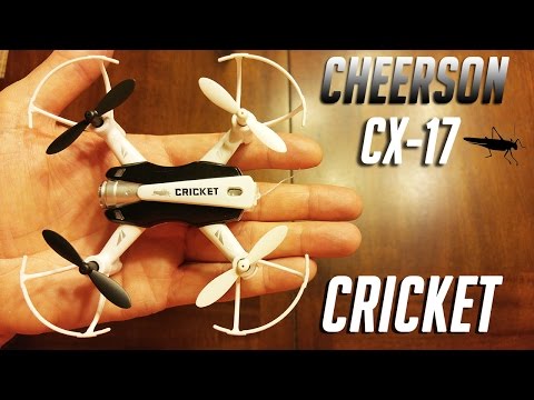 Cheerson CX-17 "Cricket" Review & Test Flight