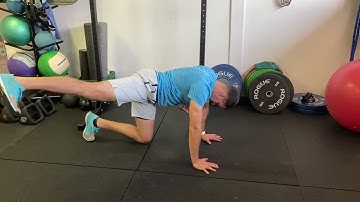 Quadruped Hip Extension to Abduction Hover