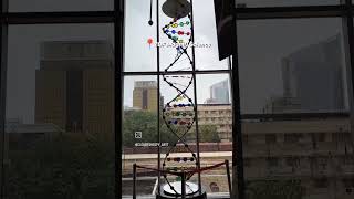 Visit To Magnifi Science Centre, Karachi.