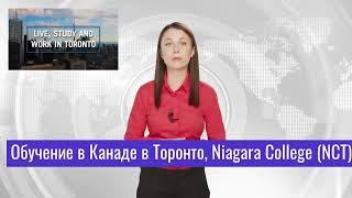 Niagara College Toronto Обучение в Канаде Торонто в Ниагара Колледже