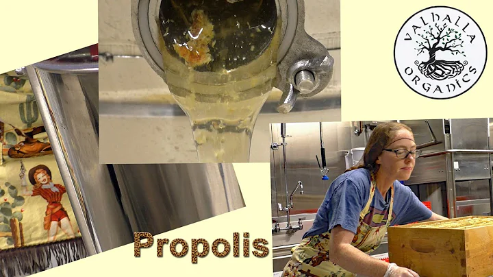 RUBY REID - Valhalla Organics - Propolis