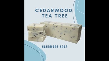 The Soap Guy