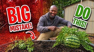 Most People Plant Watermelons WRONG — Do This Instead