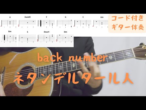 【ギターコード付き】back number/ネタンデルタール人【アコギ弾いてみた】