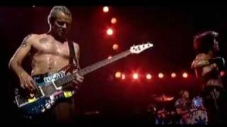 RHCP  2002-2004  By The Way Album Live