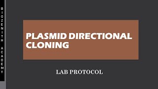 Celebrity The plasmid directional cloning Guide For Everyone Wealth