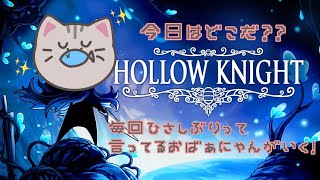 【#hollowknight  】#9 お金貯めたからランタンみたいなの買いたい！！【#曇月りつ ／#初見大歓迎  】