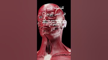 SURA TIN _95_ سورة التين #quran