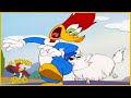 El Pájaro Loco en Español | 1 Hora de Compilación | Dibujos Animados en Español