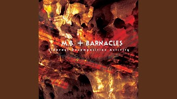 Sidereal Decomposition Activity