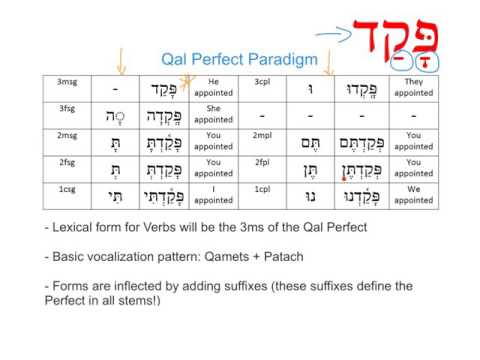 Hebrew Qal Perfect Verbs