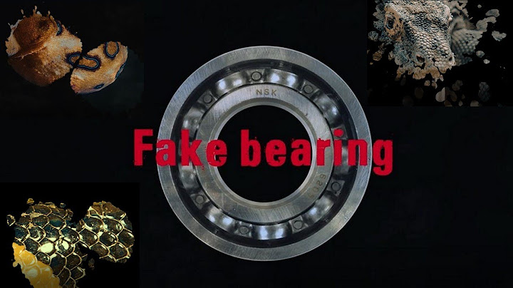 Fake Bearings - As dangerous as the most lethal animals