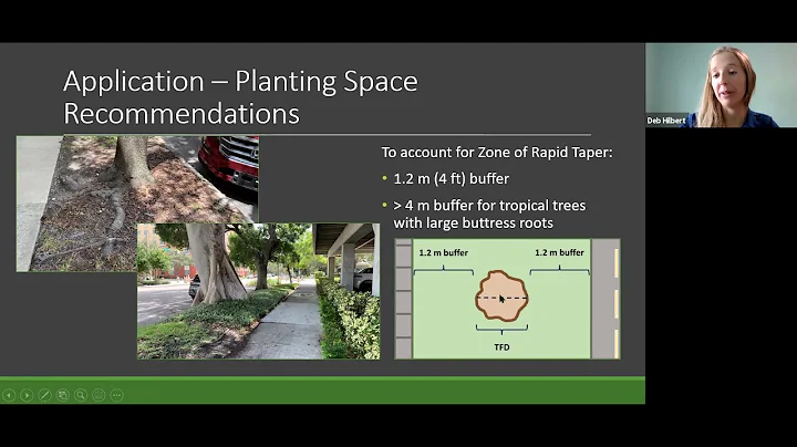 How Much Space Does My Street Tree Need?