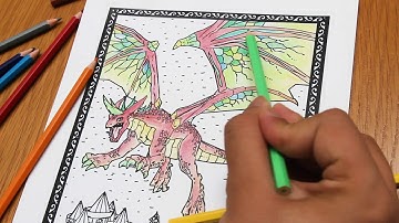 Dragon - QuiverVision