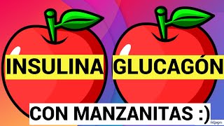 INSULINA Y GLUCAGON CON MANZANITAS