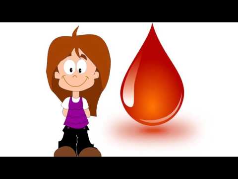 Можно ли на кладбище с месячными?