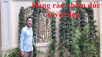 ✅ ✅ Hàng rào nhôm đúc cây trúc có thiết kế vòm cong TUYỆT ĐẸP | Cổng nhôm đúc Nam Định