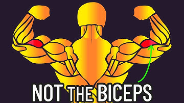 This Arm Muscle is Underrated (Don