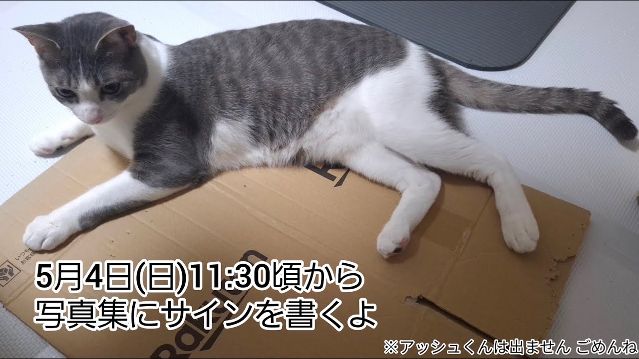Signing photo books - YouTube