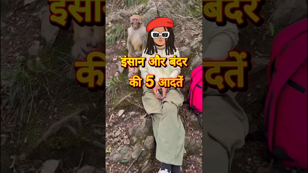 🙉❤️ 5 Monkey Habits Just Like Humans 😱 3 is Crazy!" 