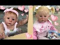 REBORN TODDLERS MAKE GIANT CUBBY HOUSE BY THEMSELVES!